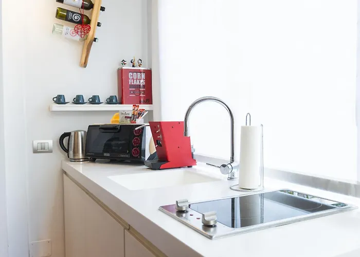 Apartment Er Nido-monolocale Con Terrazza A Rome